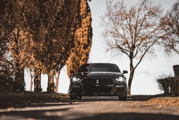 HippoZino Casino Android/iOS App